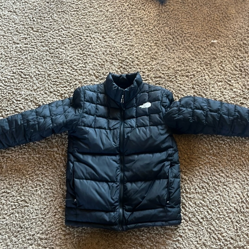 Men’s North face 550 puffer jacket